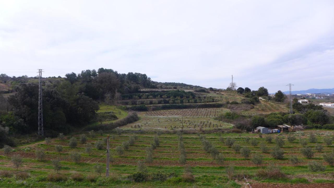卡尔业罗尼农场酒店 Avinyonet del Penedes 外观 照片