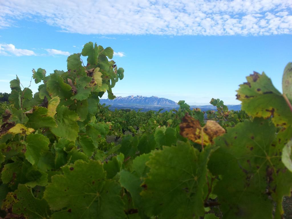 卡尔业罗尼农场酒店 Avinyonet del Penedes 外观 照片